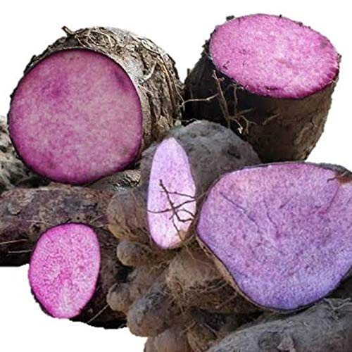 Fresh Ratalu/Purple Yam