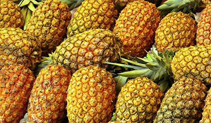 Organic Pineapple Fruit
